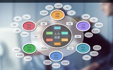 企業如何選型人力資源管理系統軟件 從戰略匹配到技術落地的全面指南